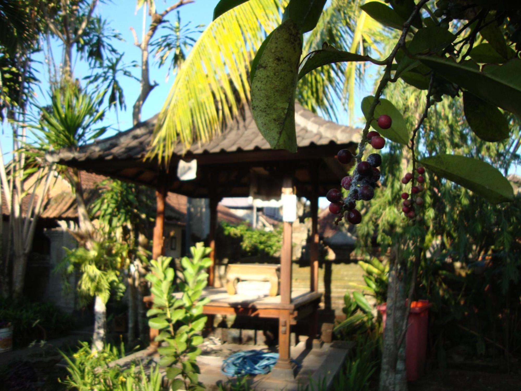 Gusti Home Stay Ubud Rom bilde